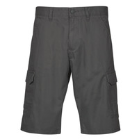 vaatteet Miehet Shortsit / Bermuda-shortsit Esprit OCS N Cargo SH Harmaa