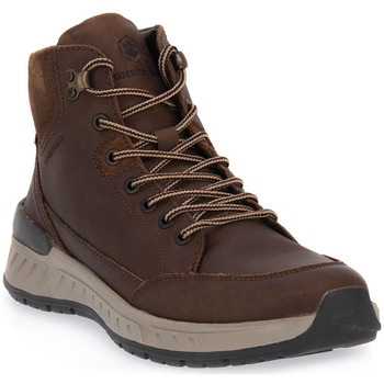 kengät Miehet Saappaat Lumberjack CE007 LARK HIGH CUT Ruskea