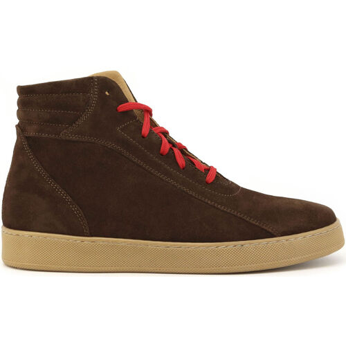 kengät Miehet Saappaat Duca Di Morrone Tommaso - Suede Brown Ruskea