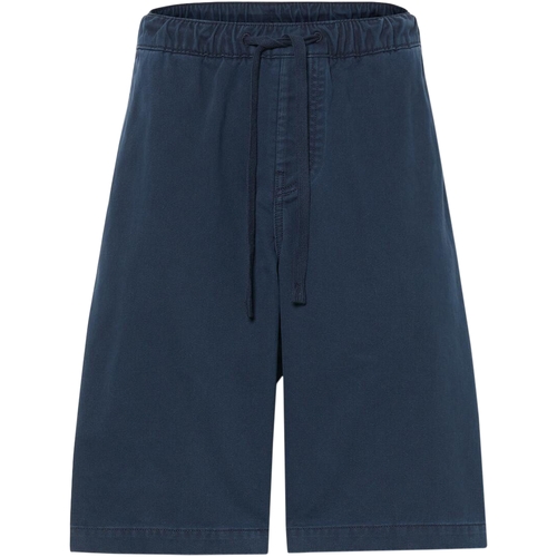 vaatteet Miehet Shortsit / Bermuda-shortsit Timberland 227597 Laivastonsininen