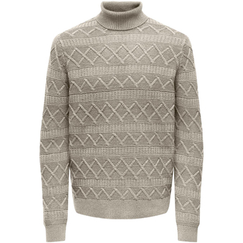 vaatteet Miehet Neulepusero Only & Sons  ONSWADE REG 5 STRUC ROLL NECK KNIT 22027158 Beige