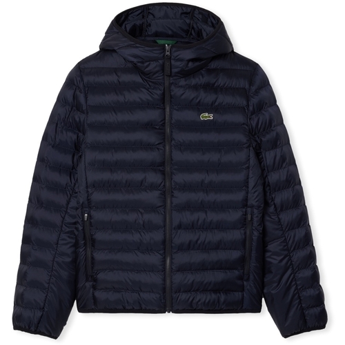 vaatteet Miehet Paksu takki Lacoste Hooded Jacket BH2909 - Bleu Marine Sininen