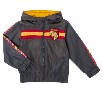 Υφασμάτινα Αγόρι Μπουφάν TEAM HEROES  BLOUSON HARRY POTTER Grey