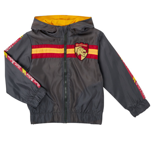 Υφασμάτινα Αγόρι Μπουφάν TEAM HEROES  BLOUSON HARRY POTTER Grey