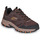 Παπούτσια Άνδρας Πεζοπορίας Skechers HILLCREST Brown