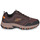 Παπούτσια Άνδρας Πεζοπορίας Skechers HILLCREST Brown