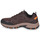 Παπούτσια Άνδρας Πεζοπορίας Skechers HILLCREST Brown