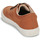 Παπούτσια Άνδρας Χαμηλά Sneakers Element TOPAZ C3 Camel