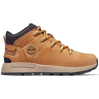 Παπούτσια Αγόρι Μπότες Timberland SPRINT TREKKER MID Yellow