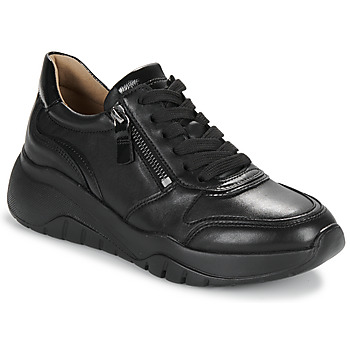 Παπούτσια Γυναίκα Χαμηλά Sneakers Gabor 53450 Black