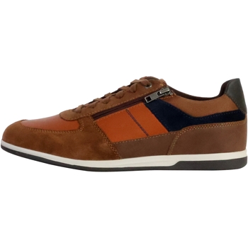 Παπούτσια Άνδρας Χαμηλά Sneakers Geox 240257 Brown