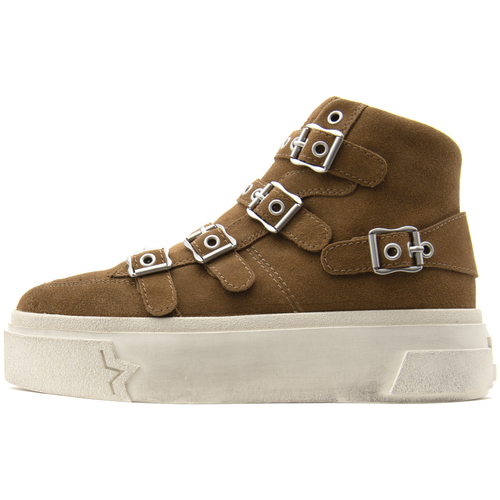 Παπούτσια Γυναίκα Sneakers Ash STARMOON BUCKLE COMBO F HIGH TOP SNEAKERS WOMEN ΚΑΦΕ