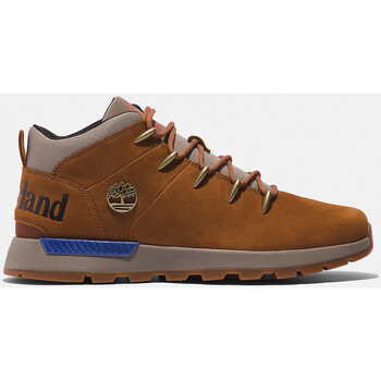 Cipők Férfi Divat edzőcipők Timberland Sptk mid lace sneaker Barna