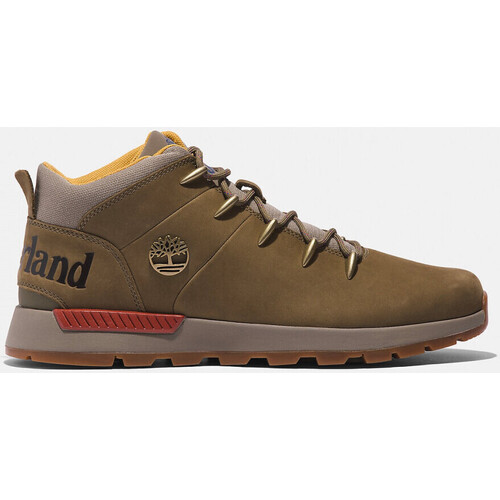 Cipők Férfi Divat edzőcipők Timberland Sptk mid lace sneaker Zöld