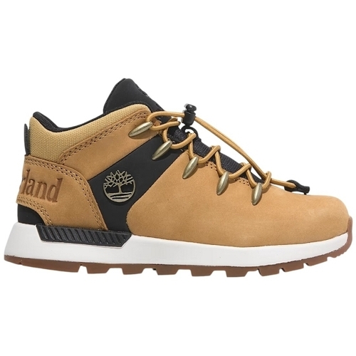 Cipők Férfi Divat edzőcipők Timberland SPRINT TREKKER MID LACE U Barna