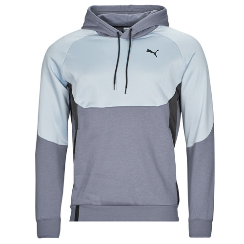 Abbigliamento Uomo Felpe Puma INLINE Grigio