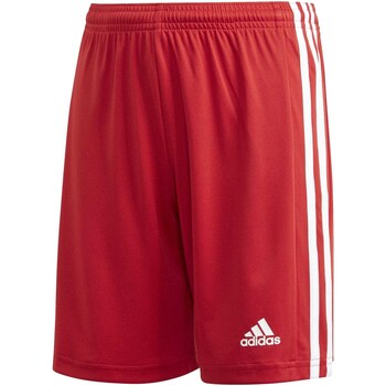 Abbigliamento Unisex bambino Shorts / Bermuda adidas Originals Squad 21 Sho Y Rosso