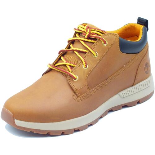 Scarpe Uomo Stivaletti Timberland 0A2JAC Killington Trekker Low Marrone