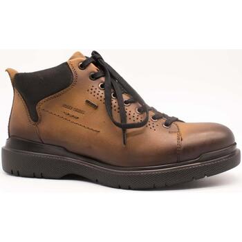 Scarpe Uomo Sneakers alte Josef Seibel  Marrone