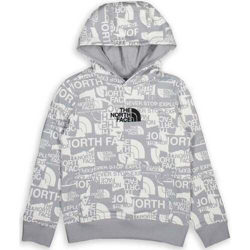 Abbigliamento Bambino Felpe The North Face Boy'S ew Peal Light Grigio