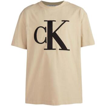 Abbigliamento Uomo T-shirt maniche corte Calvin Klein Jeans  Beige