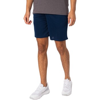 Abbigliamento Uomo Shorts / Bermuda Under Armour Pantaloncini in rete tecnica Blu