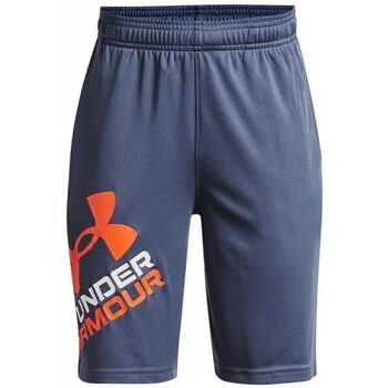 Abbigliamento Bambino Shorts / Bermuda Under Armour UA Prototype 2.0 Logo Altri