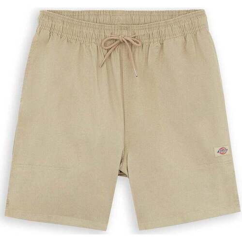 Abbigliamento Uomo Shorts / Bermuda Dickies Pelican Rapids Desert Sand Beige