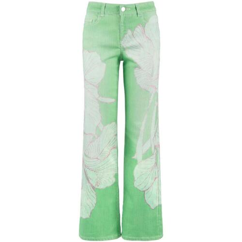 Abbigliamento Donna Pantaloni 5 tasche Nenette spinner Verde