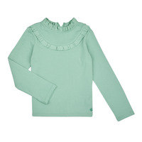 Abbigliamento Bambina T-shirts a maniche lunghe Petit Bateau TELTY Verde