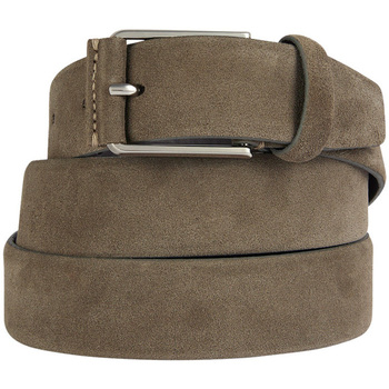 Accessori Uomo Cinture Geox cintura in pelle scamosciata Beige