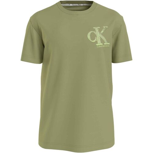 Abbigliamento Uomo T-shirt maniche corte Calvin Klein Jeans ATRMPN-46666 Verde