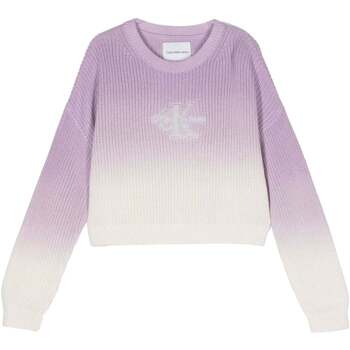 Abbigliamento Unisex bambino Felpe Calvin Klein Jeans  Gradient_Pastel_Lilac