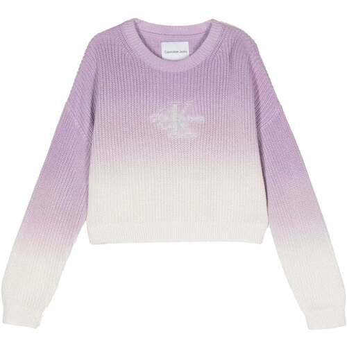 Abbigliamento Unisex bambino Felpe Calvin Klein Jeans  Gradient_Pastel_Lilac