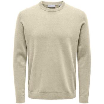 Abbigliamento Uomo Maglioni Only & Sons  22015975 Beige