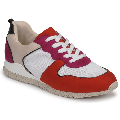 Shoes Women Low top trainers André ADO Multicolour