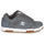 Shoes Men Low top trainers DC Shoes STAG Grey / Gum