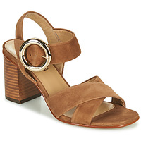 Shoes Women Sandals JB Martin 1NICKY Brown