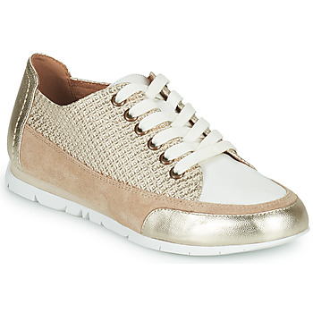 Shoes Women Low top trainers Karston CAMINO Gold / Beige