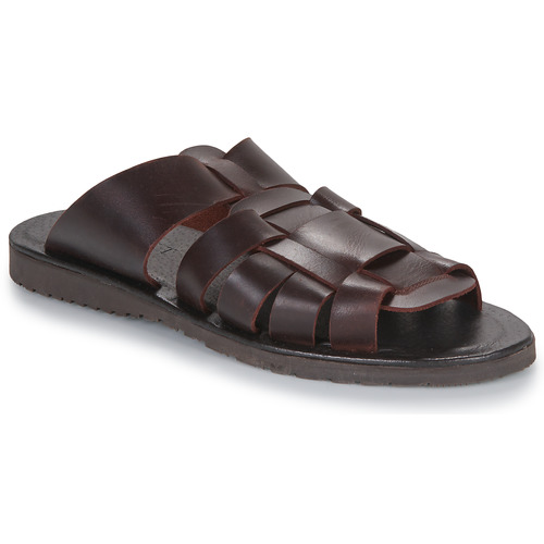 Shoes Men Sandals Pellet DAVID Veal / Brown / Dark