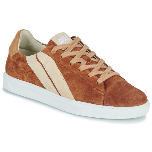 Shoes Men Low top trainers Caval SLASH BROWN COFFEE Brown / Beige