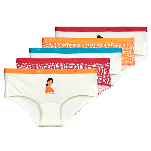 Underwear Women Knickers/panties DIM  Multicolour