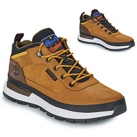 Shoes Men High top trainers Timberland FIELD TREKKER Brown