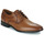 Shoes Men Derby shoes Lloyd OSMOND Cognac