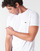 Textiel Heren T-shirts korte mouwen Lacoste TH6709 Wit