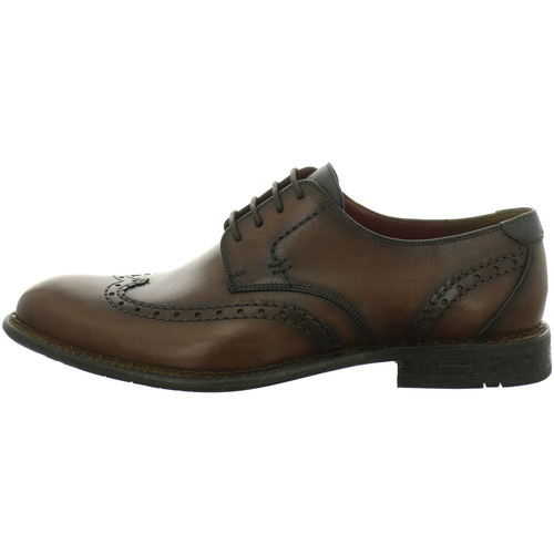 Schoenen Heren Derby & Klassiek Lloyd  Bruin