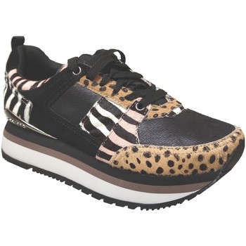 Schoenen Dames Lage sneakers Gioseppo Chejov Bruin