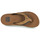 Schoenen Heren Teenslippers Reef CUSHION DAWN Bruin