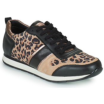 Schoenen Dames Lage sneakers Betty London PARMINE Zwart