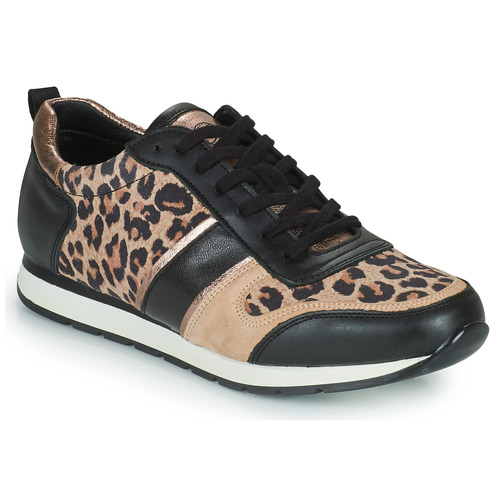 Schoenen Dames Lage sneakers Betty London PARMINE Zwart